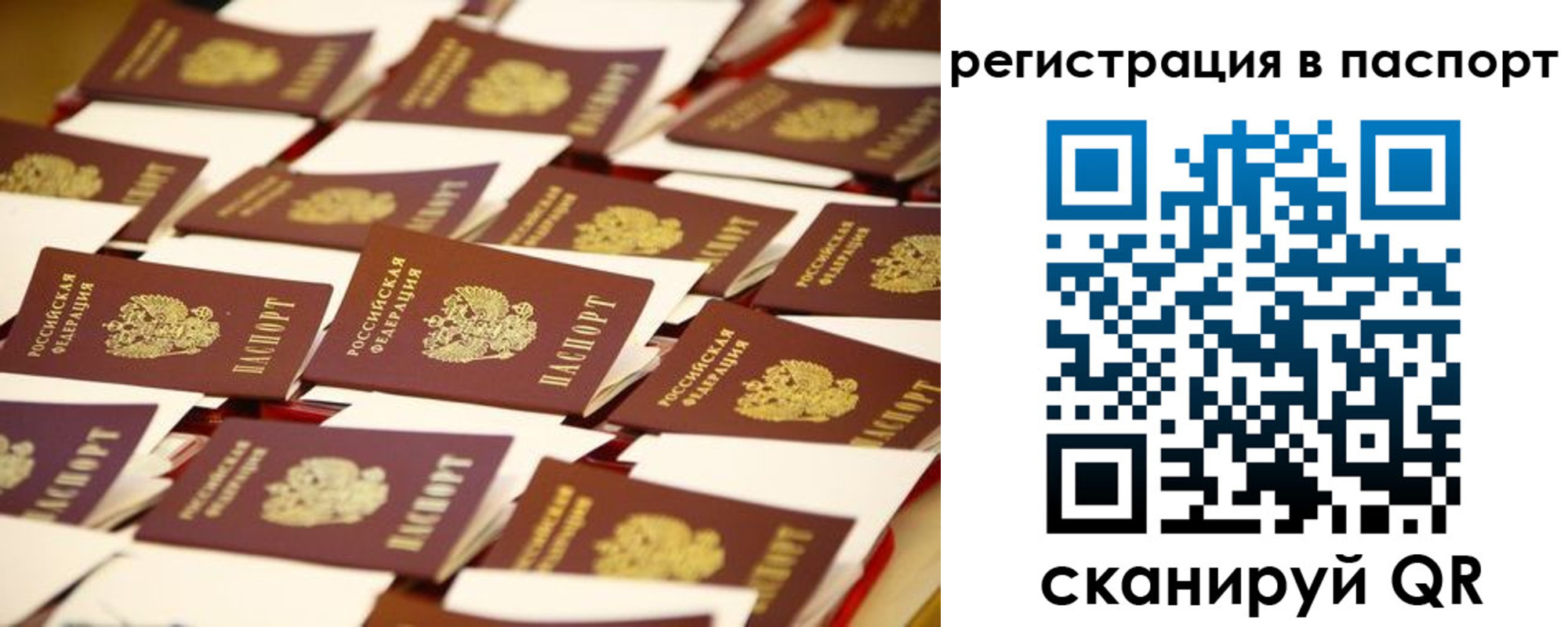 прописка гарантия в Приволжске